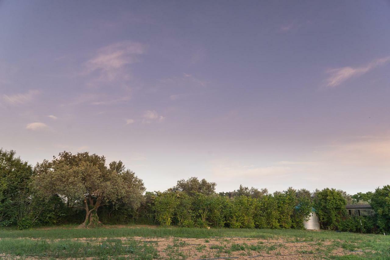 Can Gual Guest House Lametlla Del Valles ภายนอก รูปภาพ